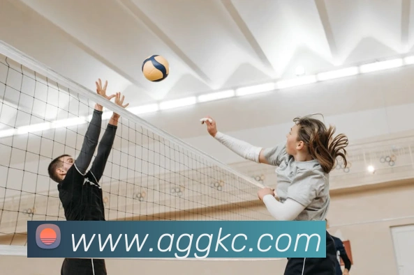 数据防护可视化